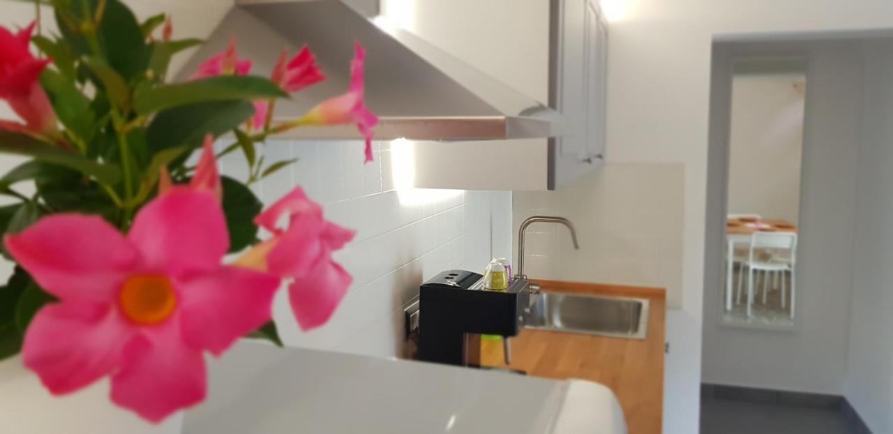 Il Cortile Segreto - Con Parcheggio Privato Apartment Lecce Luaran gambar